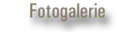 Fotogalerie