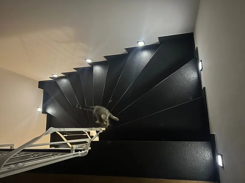 Gewendelte Treppe mit schwarzen Naturstein-Stufen und LED-Stufenbeleuchtung